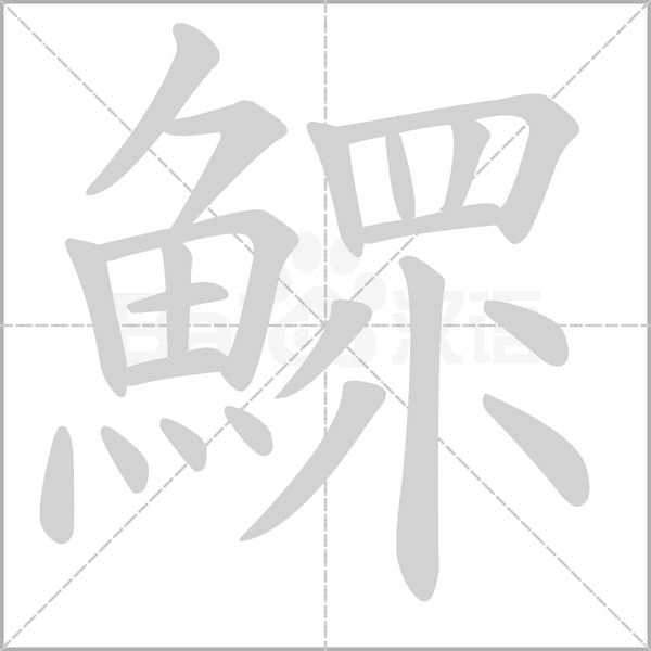 鰥笔顺动图