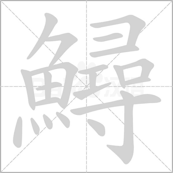 鱘笔顺动图