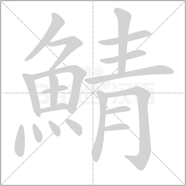 鯖笔顺动图