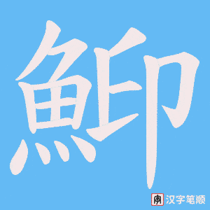 鮣笔顺动图