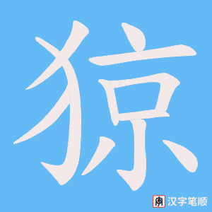 猄笔顺动图