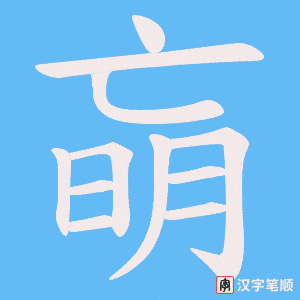 朚笔顺动图