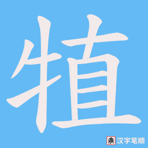 犆笔顺动图