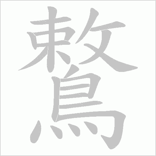 鷘笔顺动图
