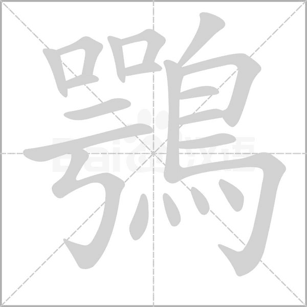 鶚笔顺动图