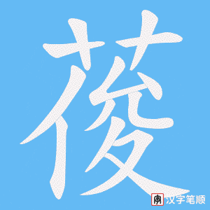 葰笔顺动图