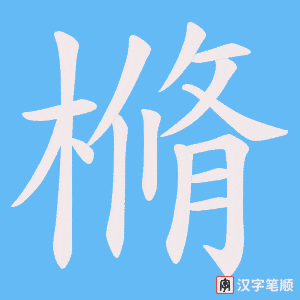 樇笔顺动图