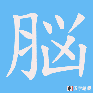 脳笔顺动图
