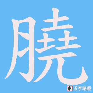 膮笔顺动图