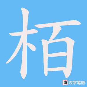 栢笔顺动图