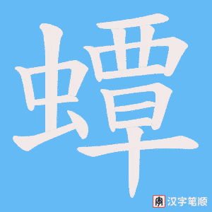 蟫笔顺动图