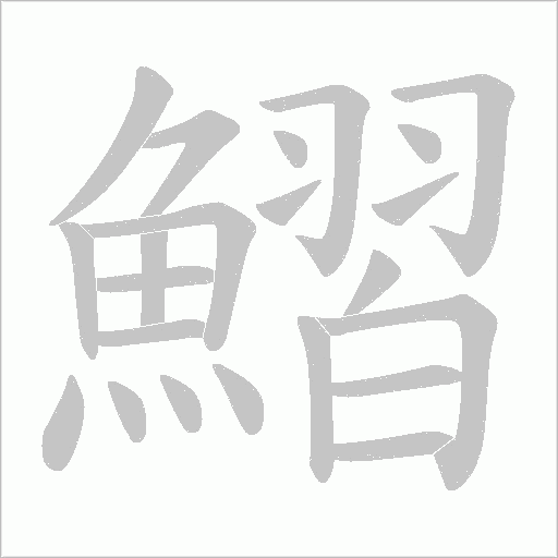 鰼笔顺动图