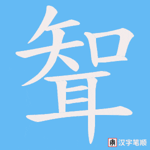 聟笔顺动图