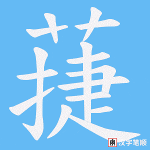 蓵笔顺动图