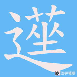 遳笔顺动图