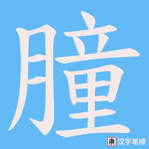 朣笔顺动图