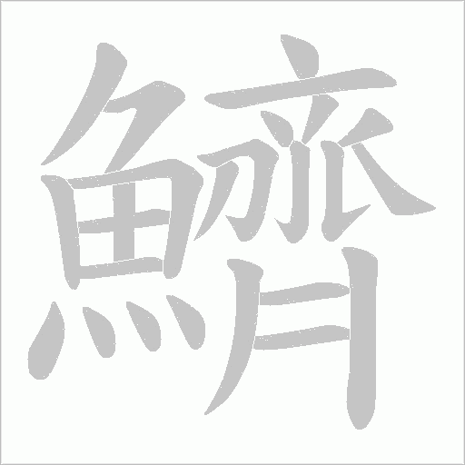 鱭笔顺动图