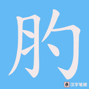 肑笔顺动图