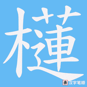 櫣笔顺动图