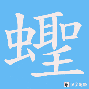 蟶笔顺动图