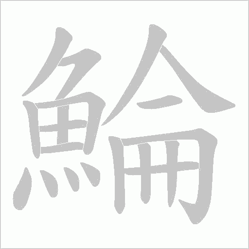 鯩笔顺动图