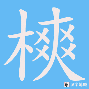 樉笔顺动图