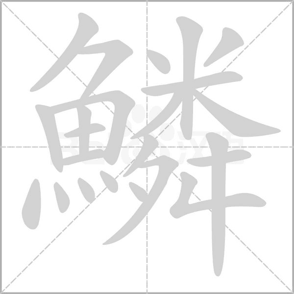 鱗笔顺动图