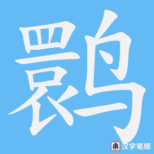 鹮笔顺动图