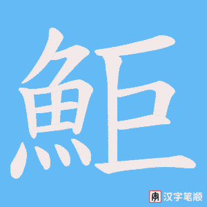 鮔笔顺动图