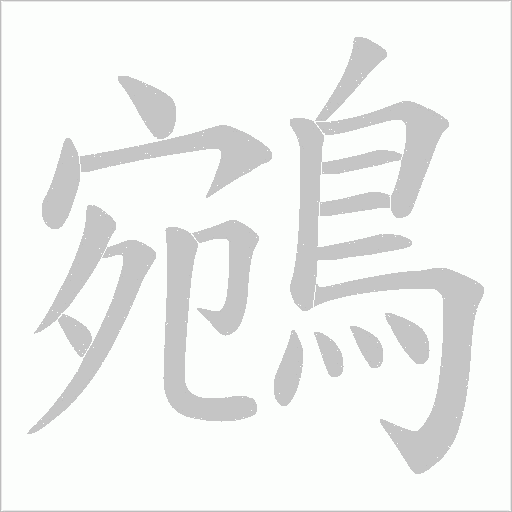 鵷笔顺动图