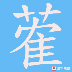 蒮笔顺动图