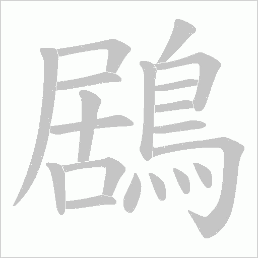 鶋笔顺动图