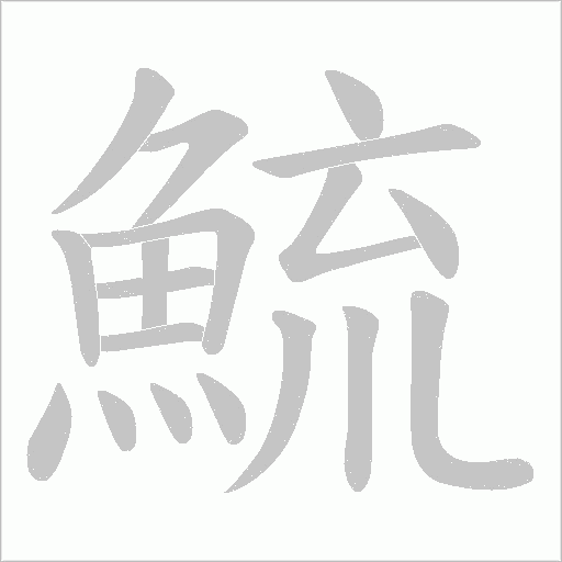鯍笔顺动图