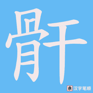 骭笔顺动图