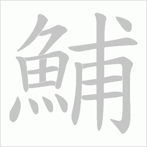 鯆笔顺动图