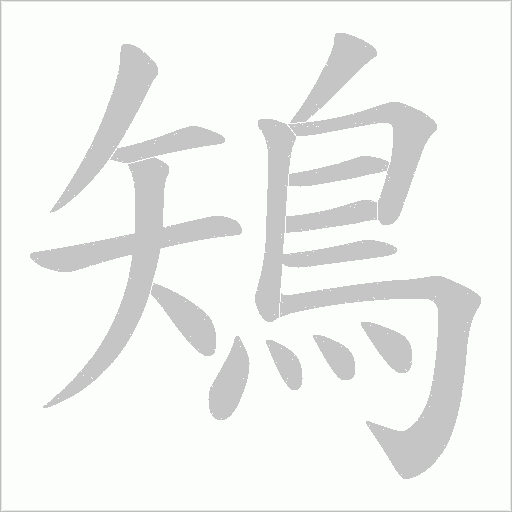 鴙笔顺动图