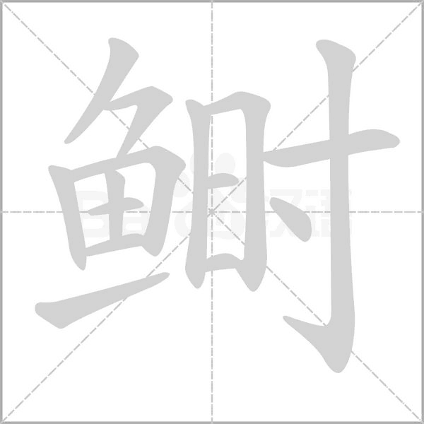 鲥笔顺动图