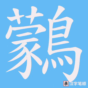 鸏笔顺动图