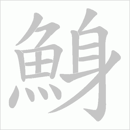 鯓笔顺动图