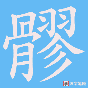 髎笔顺动图