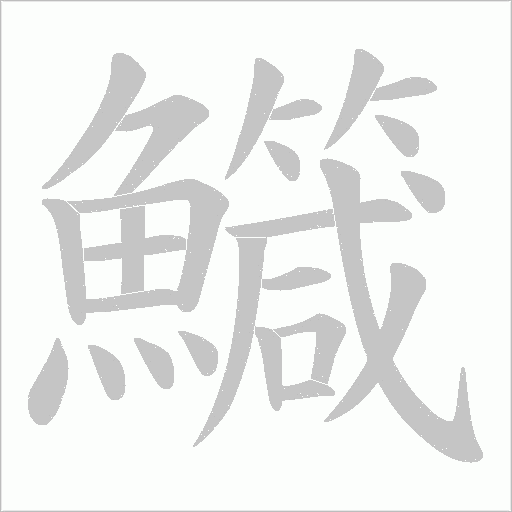 鱵笔顺动图