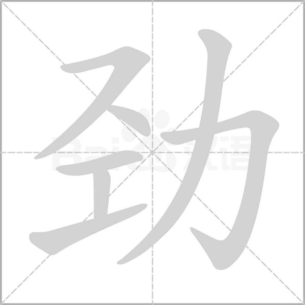 劲笔顺动图