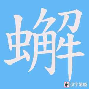 蠏笔顺动图