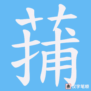 蒱笔顺动图