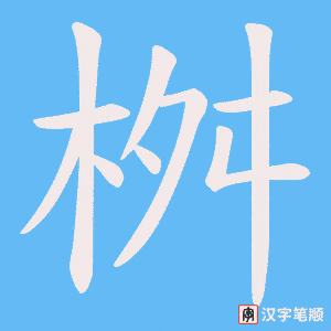 桝笔顺动图