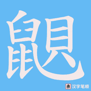 鼰笔顺动图