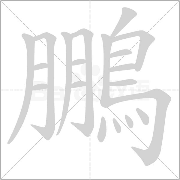 鵬笔顺动图