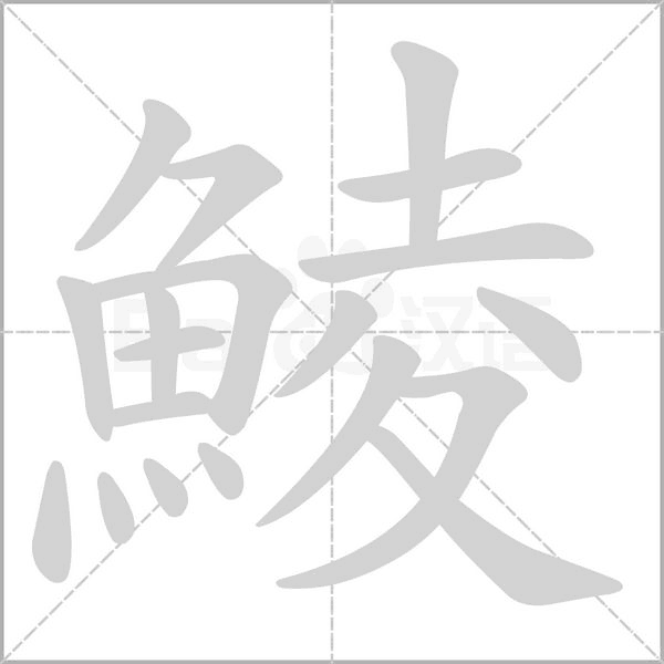 鯪笔顺动图