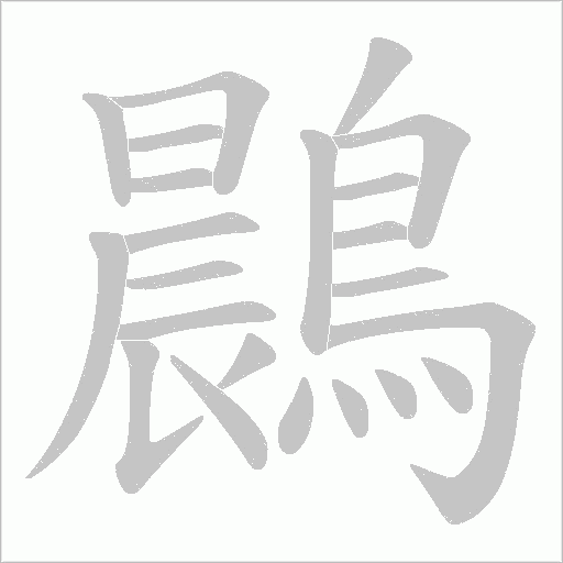 鷐笔顺动图