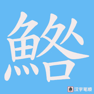 鯦笔顺动图